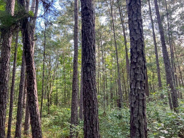 0 Old Staley Rd, Huntsville, TX 77320 - photo 10