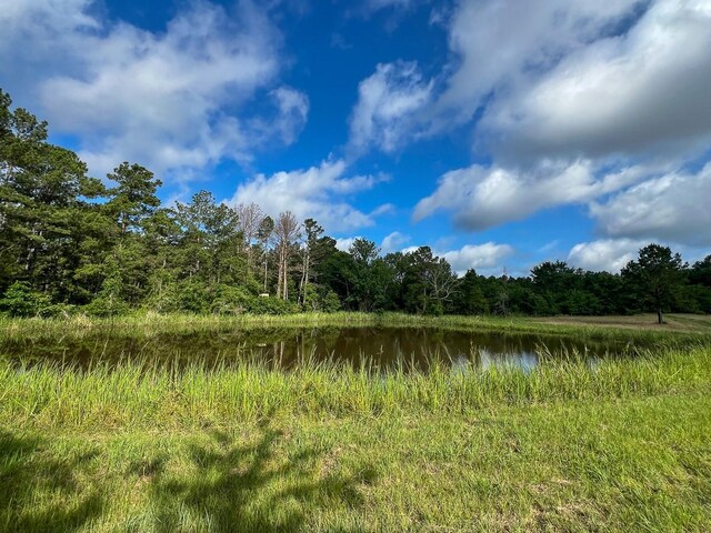 0 Old Staley Rd, Huntsville, TX 77320 - photo 11