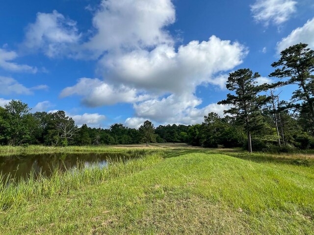 0 Old Staley Rd, Huntsville, TX 77320 - photo 12