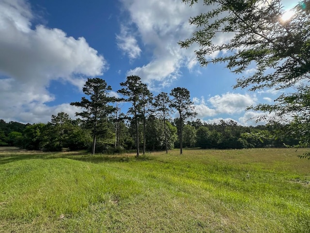 0 Old Staley Rd, Huntsville, TX 77320 - photo 13