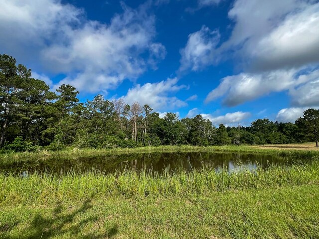 0 Old Staley Rd, Huntsville, TX 77320 - photo 14