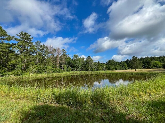 0 Old Staley Rd, Huntsville, TX 77320 - photo 15