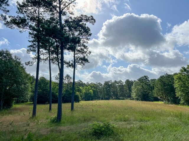 0 Old Staley Rd, Huntsville, TX 77320 - photo 17