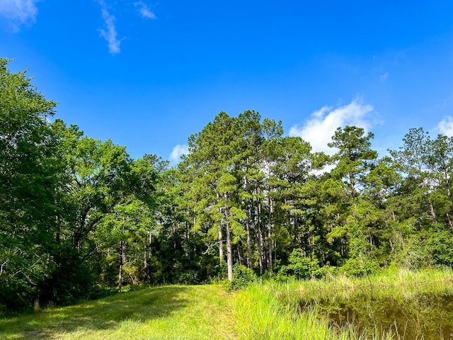 0 Old Staley Rd, Huntsville, TX 77320 - photo 18