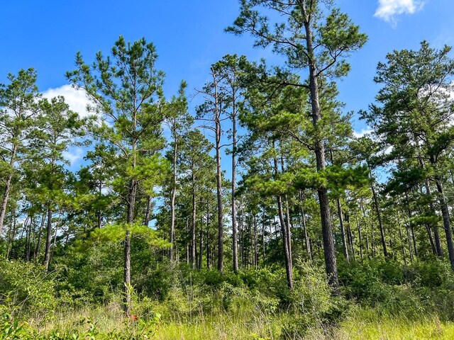 0 Old Staley Rd, Huntsville, TX 77320 - photo 20