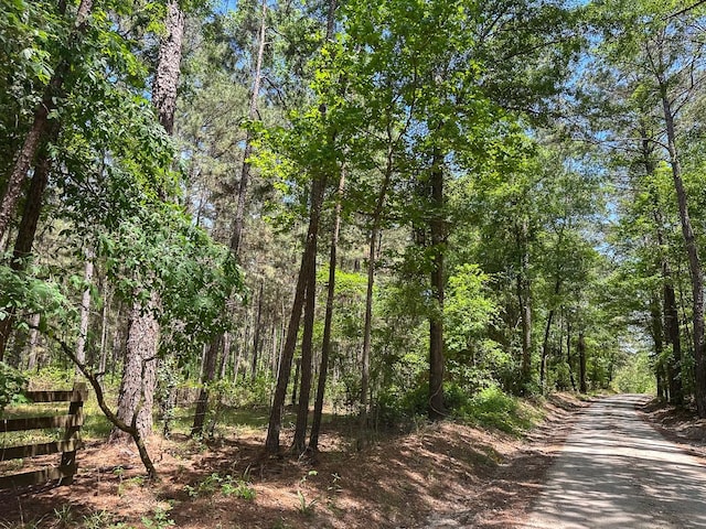 0 Old Staley Rd, Huntsville, TX 77320 - photo 5