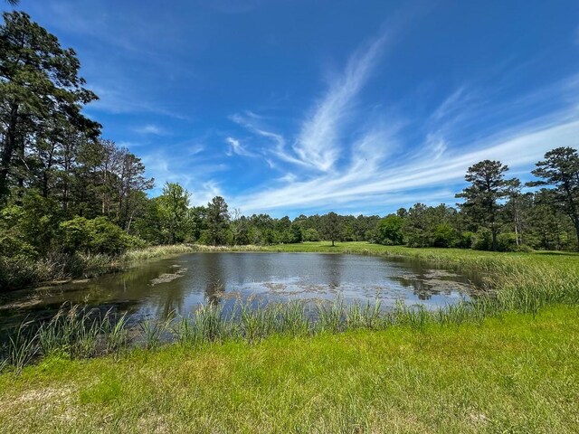 0 Old Staley Rd, Huntsville, TX 77320 - photo 25