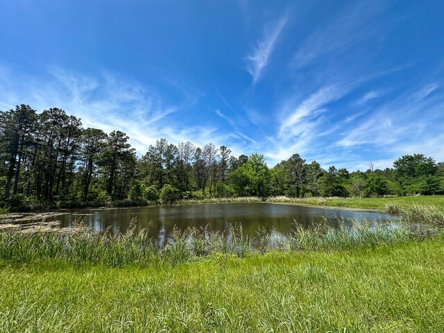 0 Old Staley Rd, Huntsville, TX 77320 - photo 26