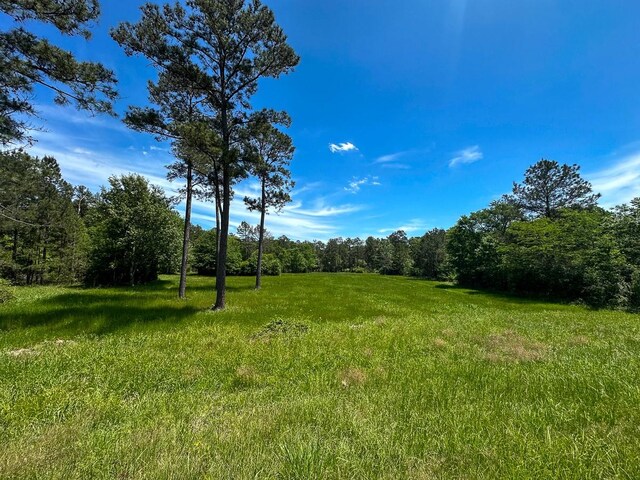 0 Old Staley Rd, Huntsville, TX 77320 - photo 29