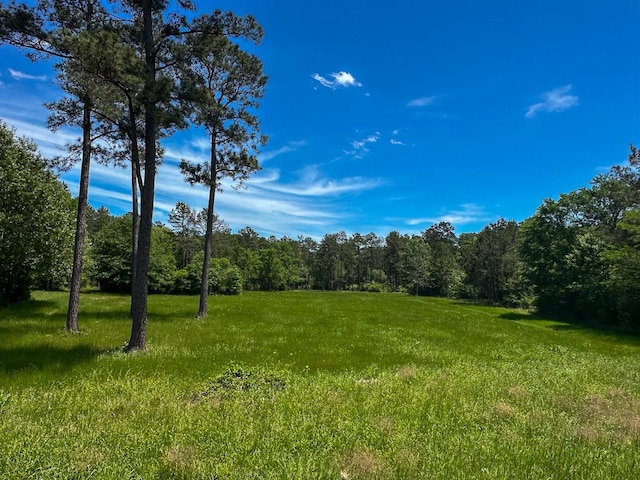 0 Old Staley Rd, Huntsville, TX 77320 - photo 30