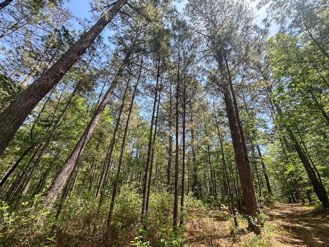 0 Old Staley Rd, Huntsville, TX 77320 - photo 31