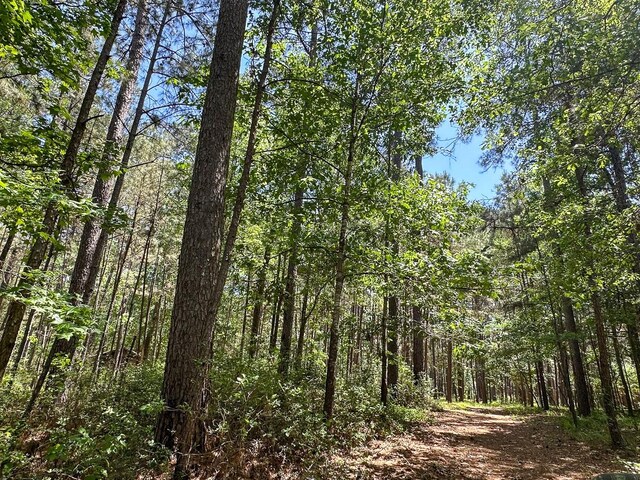 0 Old Staley Rd, Huntsville, TX 77320 - photo 32