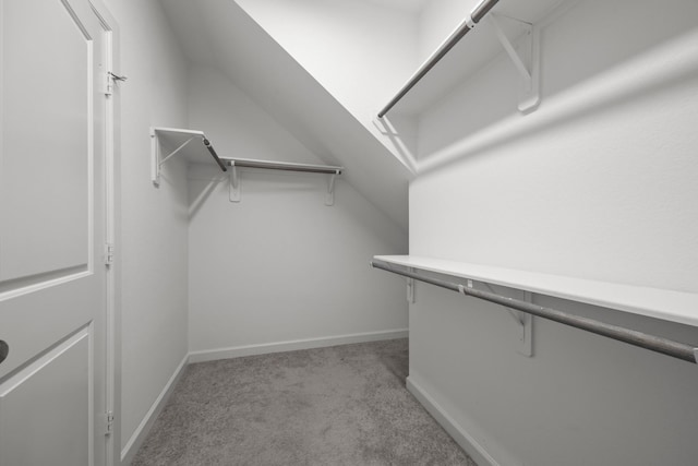 2302 Elmwood Trl, Katy, TX 77493 - walk in closet with carpet