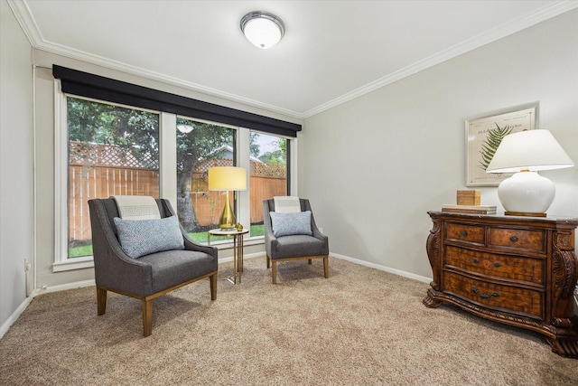 706 St Ives Ct, Houston, TX 77079 - living area with carpet floors, crown molding, and baseboards