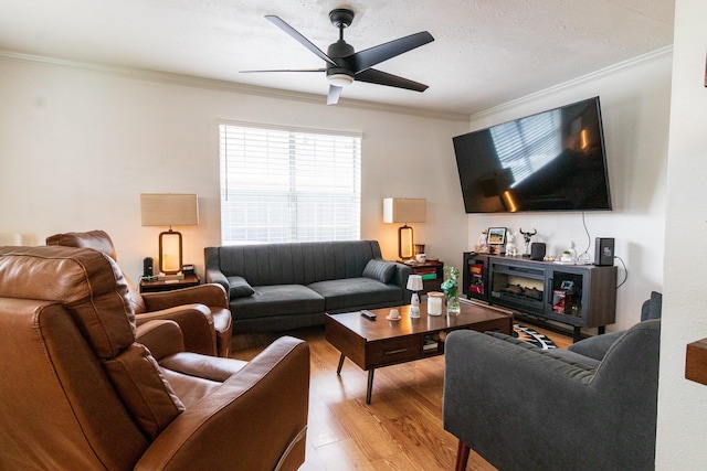 326 W 28th St, Houston, TX 77008 - living room featuring light wood-style flooring, ceiling fan, and ornamental molding