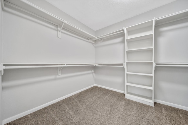 32126 Willow Creek Park, Conroe, TX 77385 - spacious closet featuring carpet floors