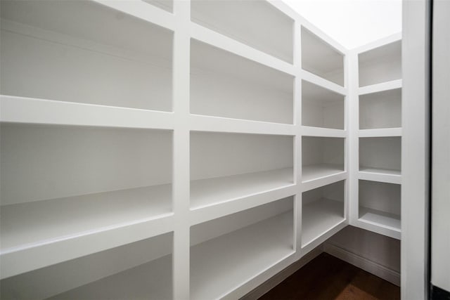 243 Teewood Ct, Montgomery, TX 77356 - view of pantry