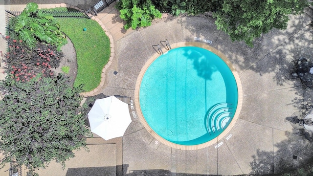 6304 Crab Orchard Rd, Houston, TX 77057 - view of swimming pool