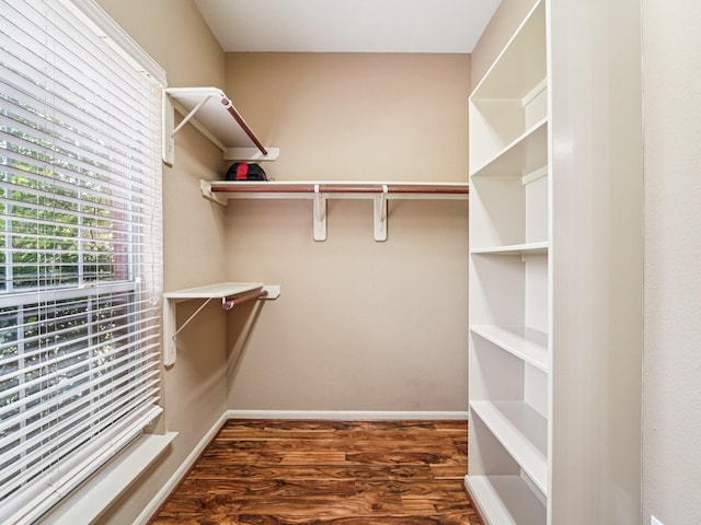 1003 Commons Waterway Dr, Huffman, TX 77336 - walk in closet with wood finished floors