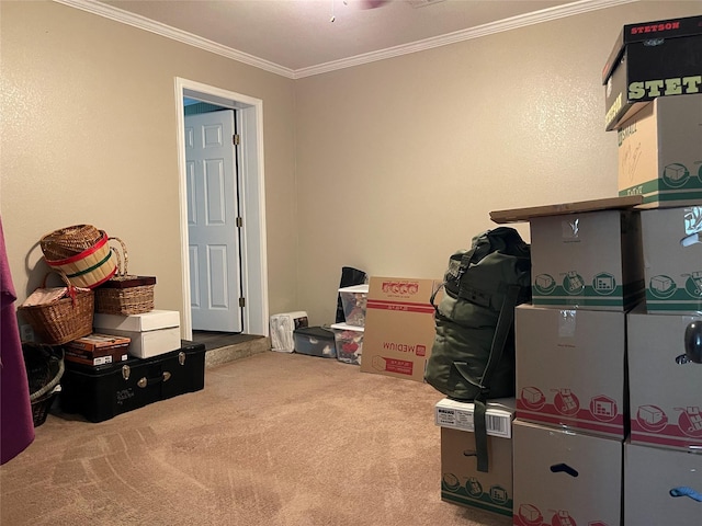120 N 10th Ave, Teague, TX 75860 - photo 34