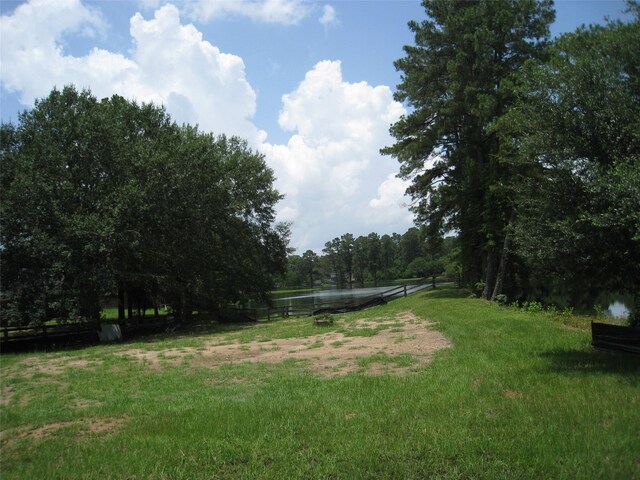 115 Texarkana Dr, Magnolia, TX 77354 - photo 28