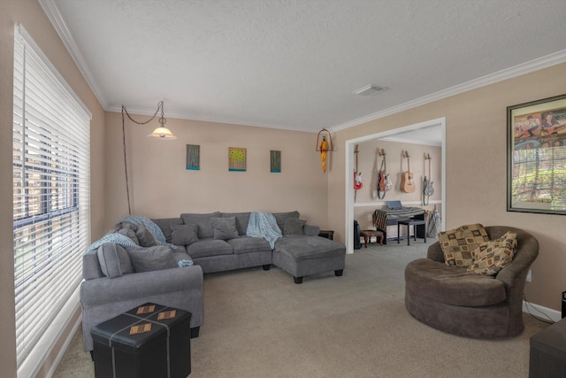 6414 Scarlet Ridge Ct, Sugar Land, TX 77479 - living area featuring crown molding, carpet flooring, and a textured ceiling