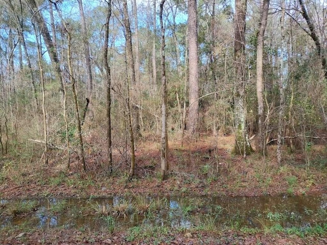 570 E Sunset Dr, Vidor, TX 77662 - photo 2