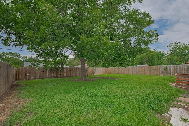 423 Gammon Dr, Houston, TX 77022 - view of yard