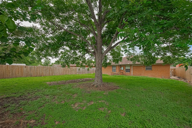 423 Gammon Dr, Houston, TX 77022 - view of yard