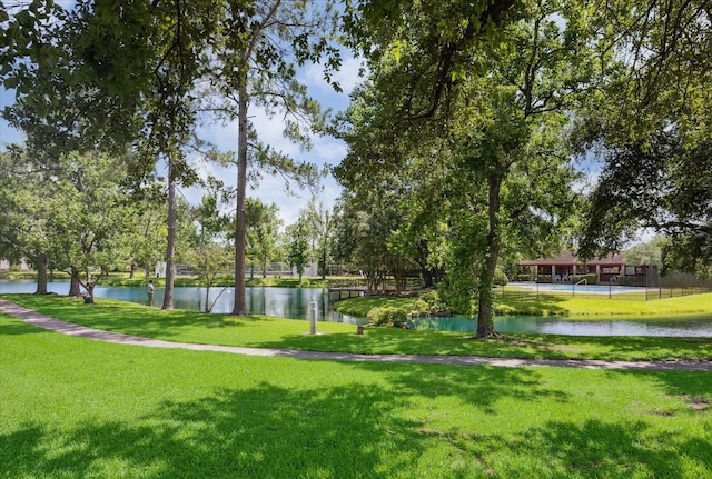 12007 Lakeway Ct, Houston, TX 77071 - surrounding community with a water view and a yard