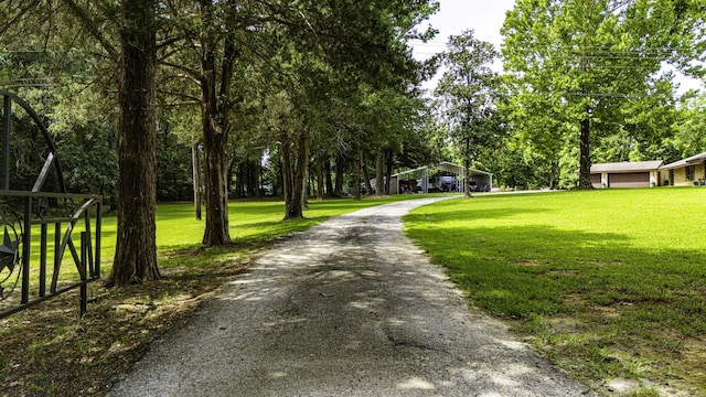 6462 US Highway 190 E, Livingston, TX 77351 - view of road with view of scattered trees