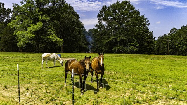6462 US Highway 190 E, Livingston, TX 77351 - surrounding community featuring a view of rural / pastoral area and a view of trees