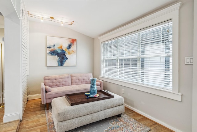 811 Lovett Blvd Unit 26, Houston, TX 77006 - living area featuring light wood-style floors, plenty of natural light, and lofted ceiling
