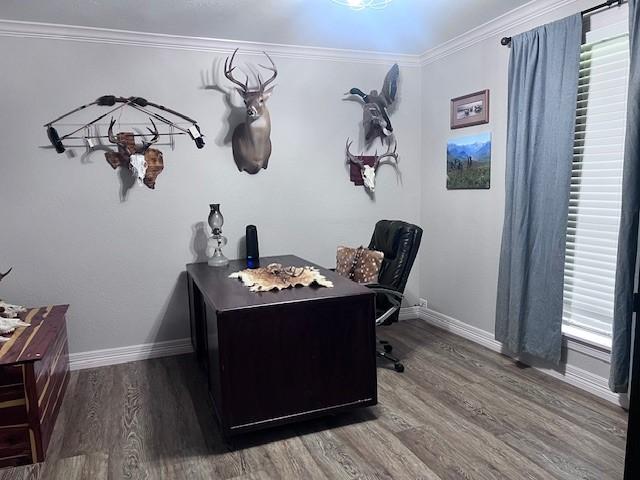 8594 Morgan Ln, Orange, TX 77632 - home office featuring wood finished floors, baseboards, and crown molding