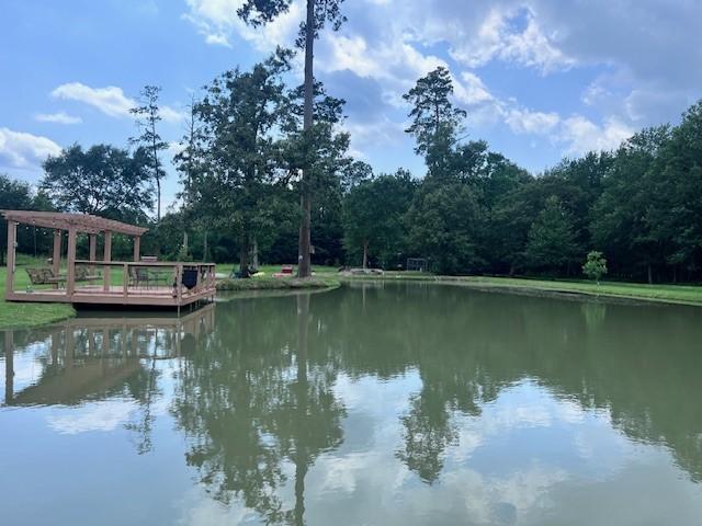 8594 Morgan Ln, Orange, TX 77632 - water view featuring a forest