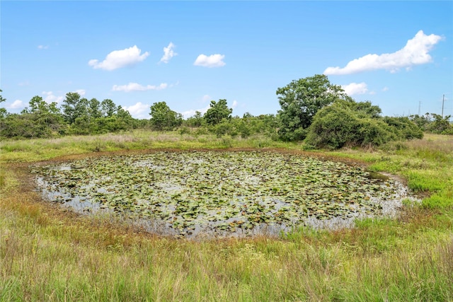 1055 Lisa Mae Rd, Bellville, TX 77418