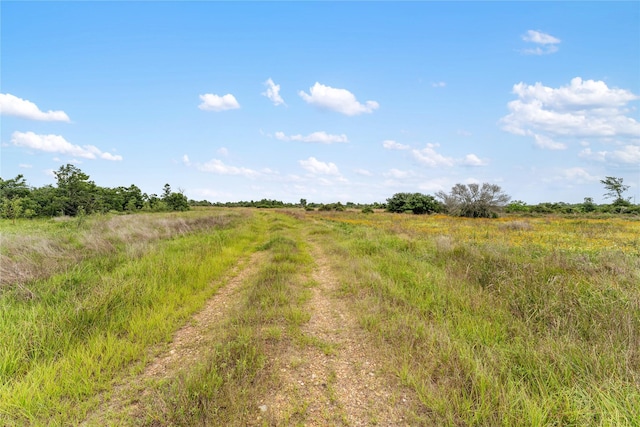1055 Lisa Mae Rd, Bellville, TX 77418