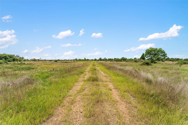 1055 Lisa Mae Rd, Bellville, TX 77418
