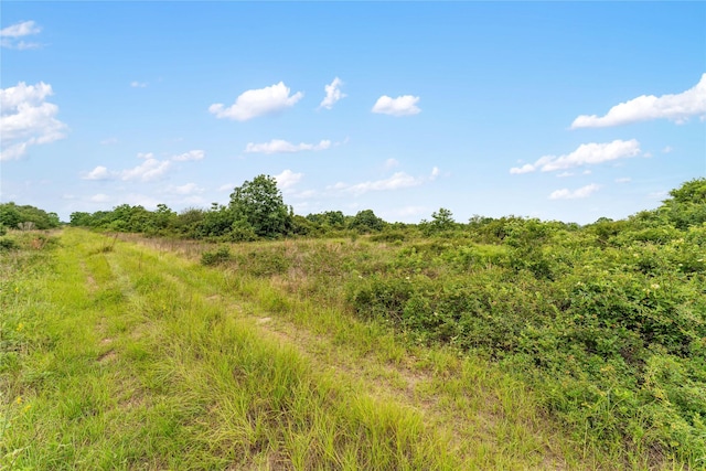 1055 Lisa Mae Rd, Bellville, TX 77418
