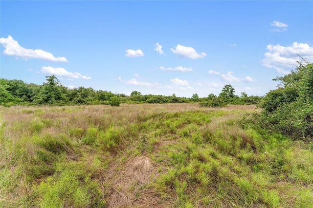 1055 Lisa Mae Rd, Bellville, TX 77418