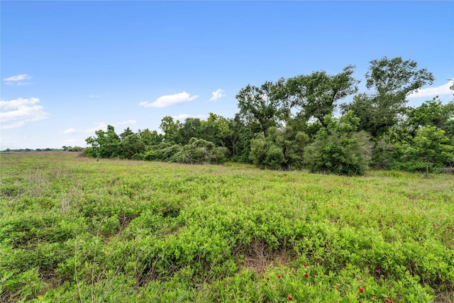 1055 Lisa Mae Rd, Bellville, TX 77418