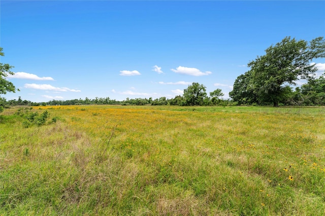 1055 Lisa Mae Rd, Bellville, TX 77418