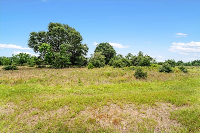 1055 Lisa Mae Rd, Bellville, TX 77418