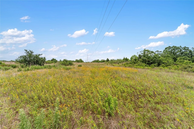 1055 Lisa Mae Rd, Bellville, TX 77418