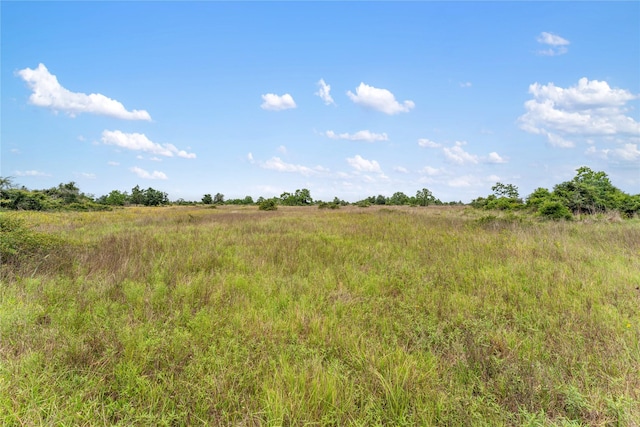 1055 Lisa Mae Rd, Bellville, TX 77418