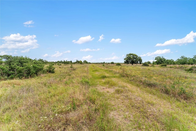 1055 Lisa Mae Rd, Bellville, TX 77418