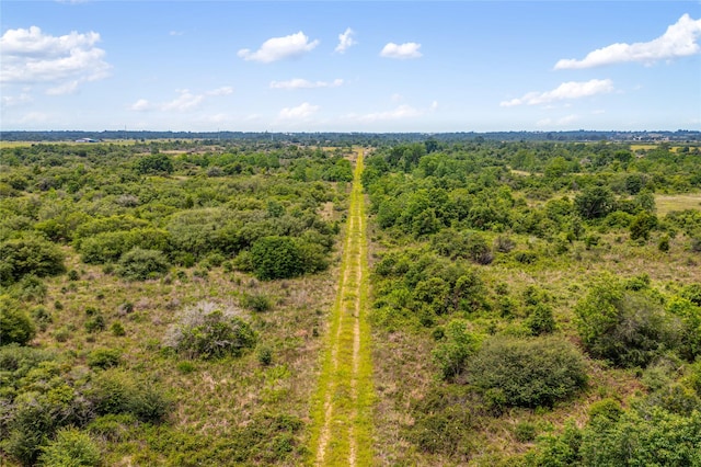 1055 Lisa Mae Rd, Bellville, TX 77418