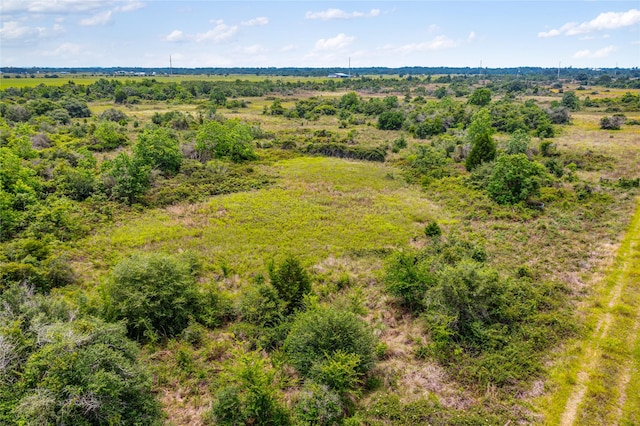 1055 Lisa Mae Rd, Bellville, TX 77418