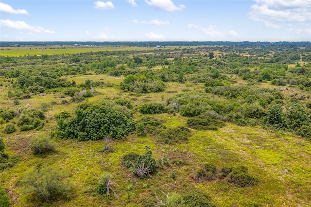 1055 Lisa Mae Rd, Bellville, TX 77418