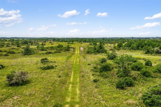 1055 Lisa Mae Rd, Bellville, TX 77418